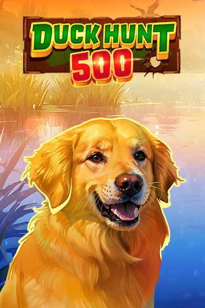 Duck Hunt 500